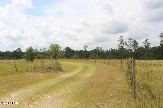 2 Pike Pond Road Chipley, FL 32428 - Photo 3 of 87