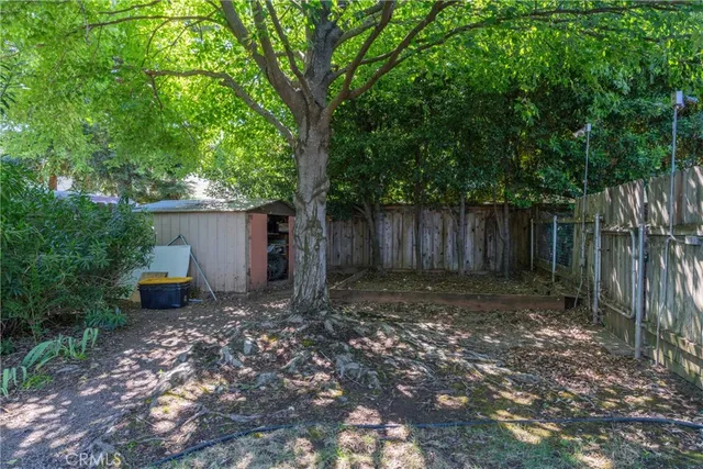 a view of a backyard with large trees and wooden fence