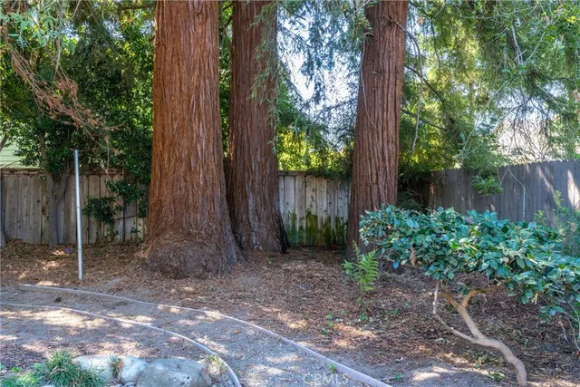 a backyard of a house with lots of green space