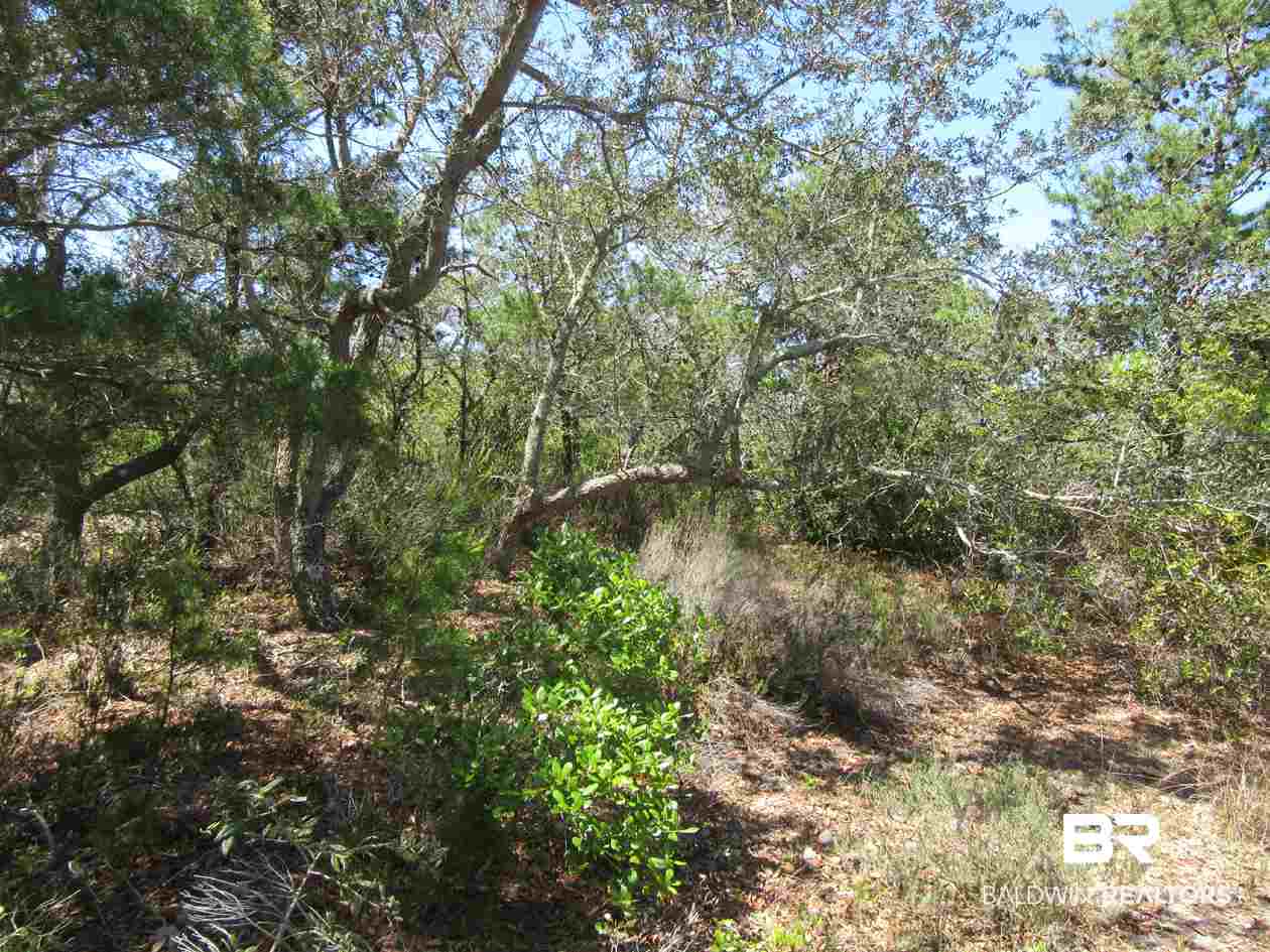 Zeanah Road Gulf Shores, AL 36542 - Photo 2 of 15