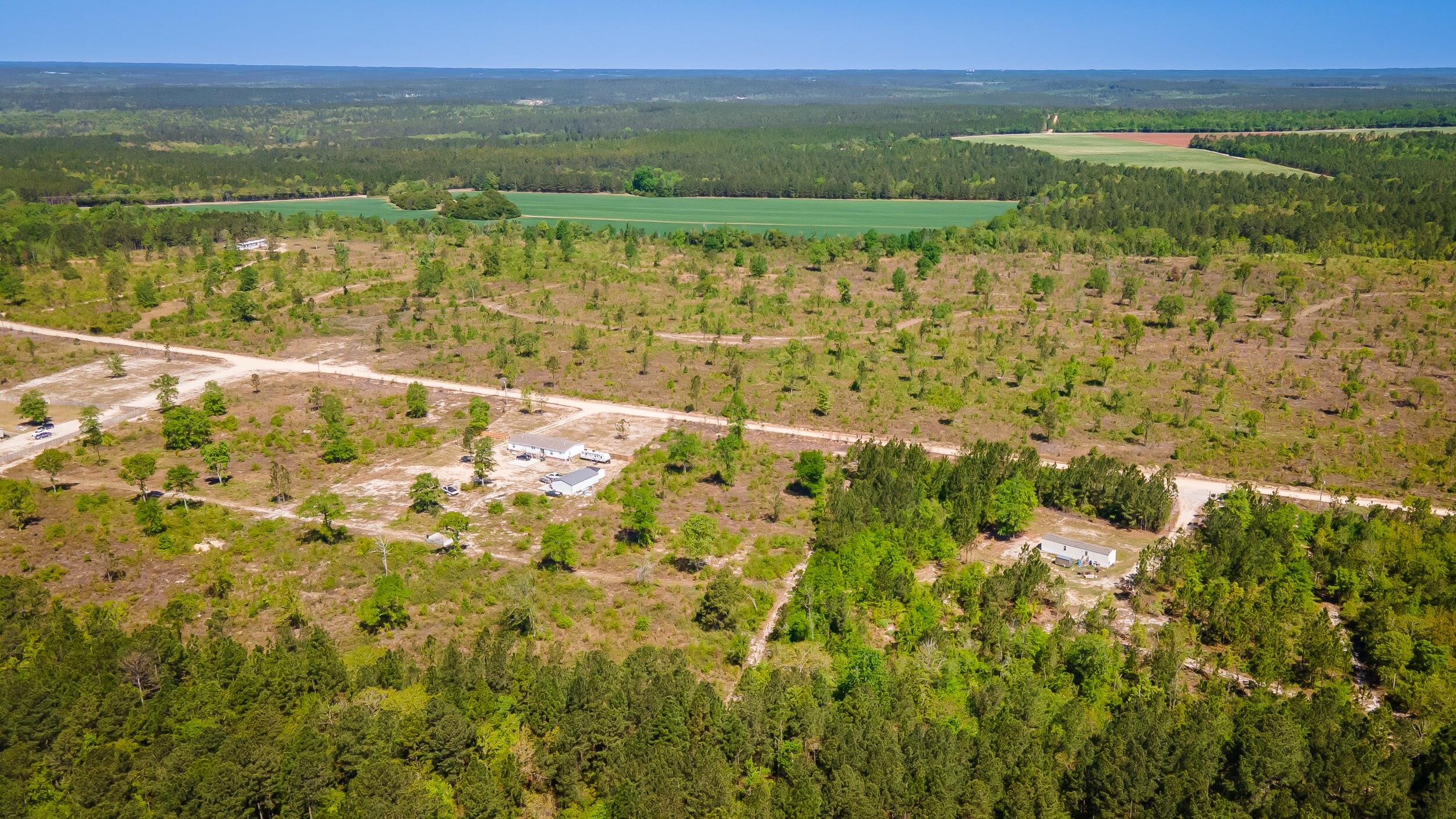 3-acres Old Shoals Road Monetta, SC 29105 - Photo 2 of 12