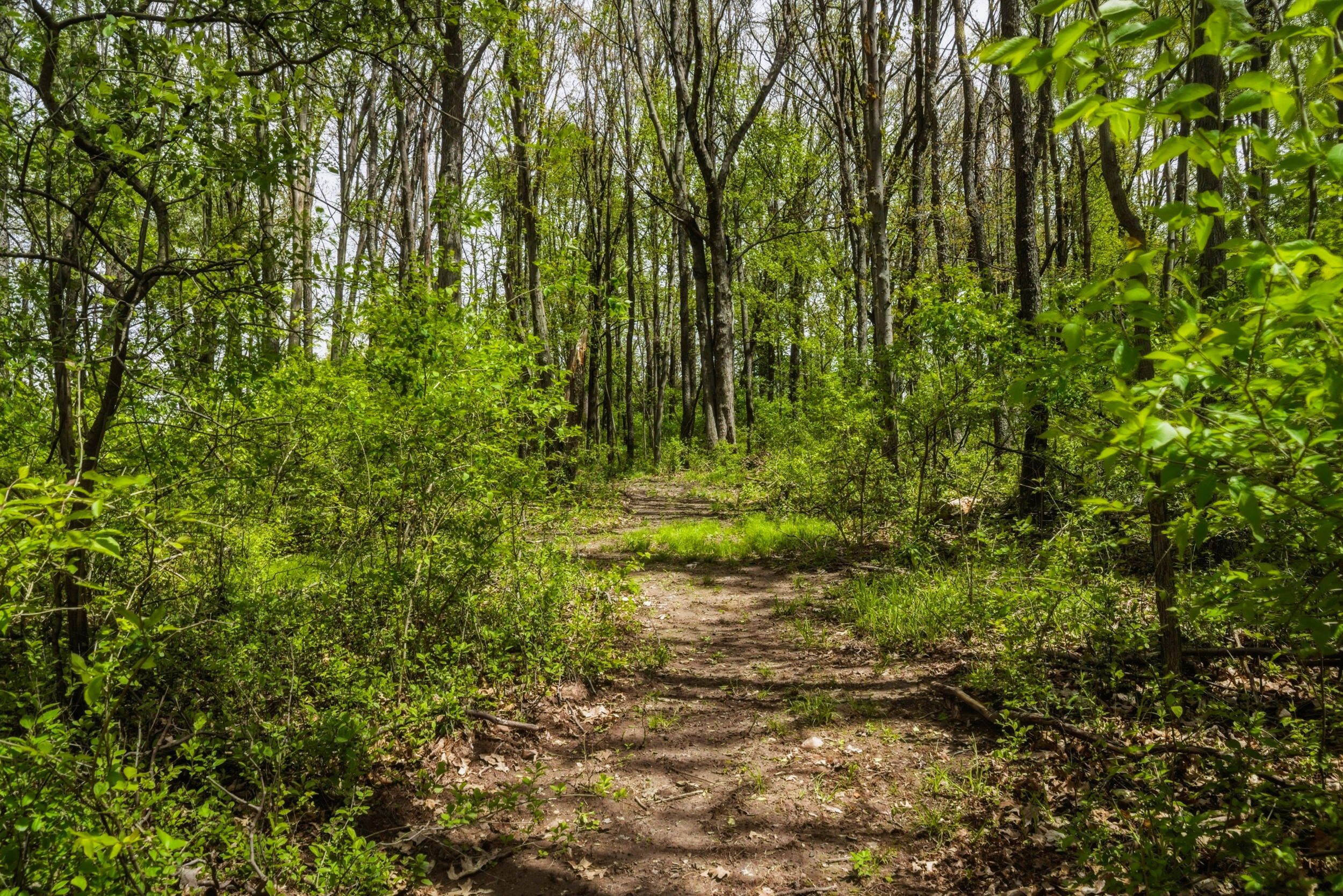 7051 Bowerman Road Horton, MI 49246 - Photo 71 of 89 67__dsc7011