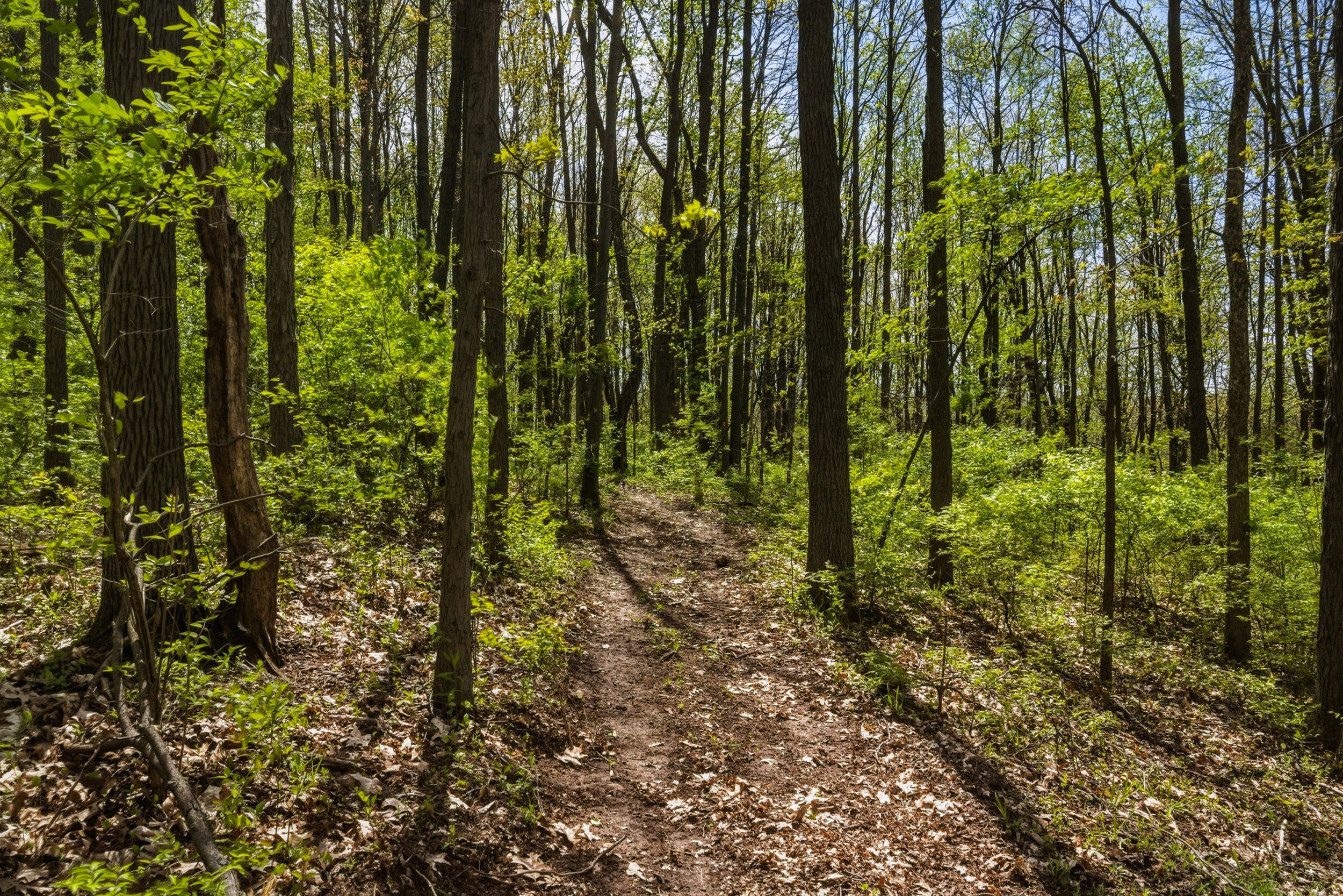 7051 Bowerman Road Horton, MI 49246 - Photo 72 of 89 66__dsc7005