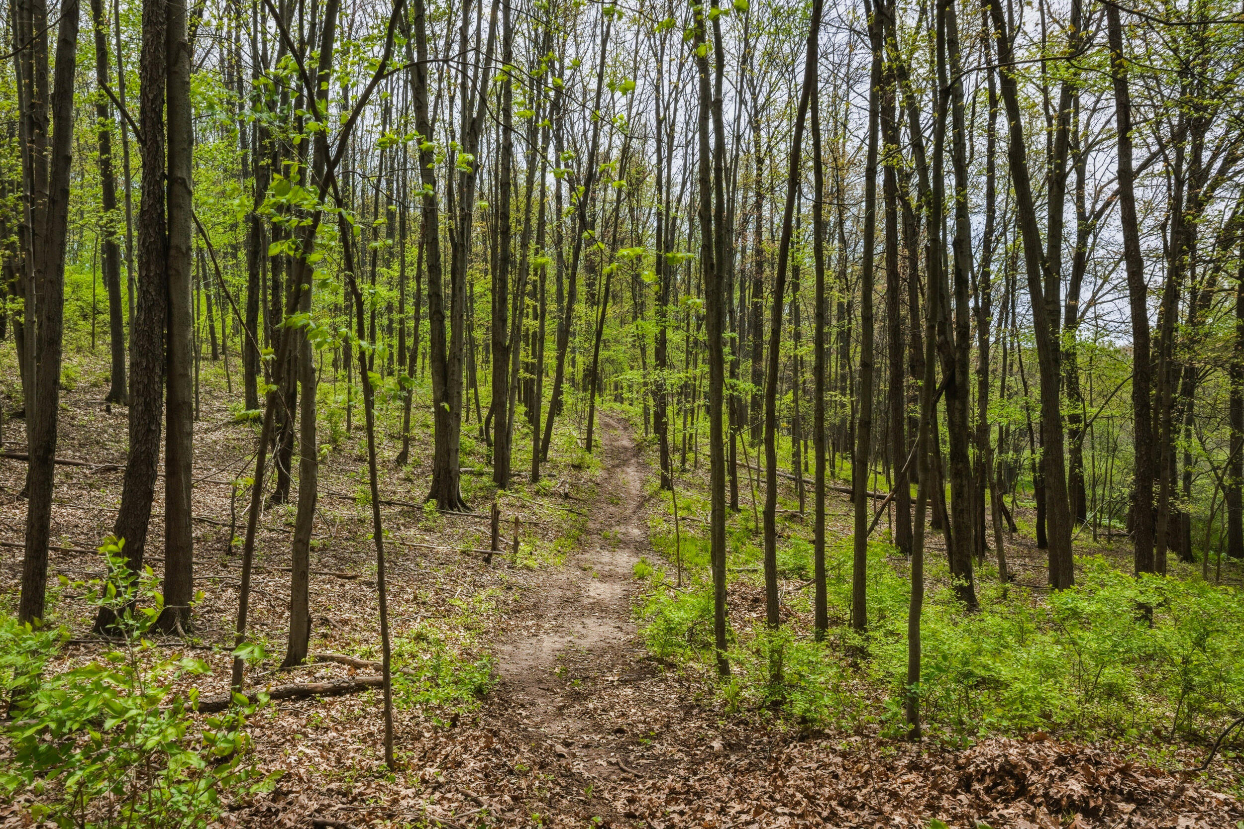 7051 Bowerman Road Horton, MI 49246 - Photo 74 of 89 64__dsc6978