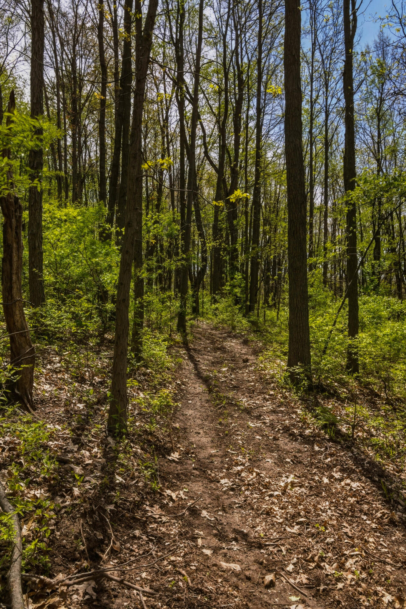 7051 Bowerman Road Horton, MI 49246 - Photo 76 of 89 74__dsc7008