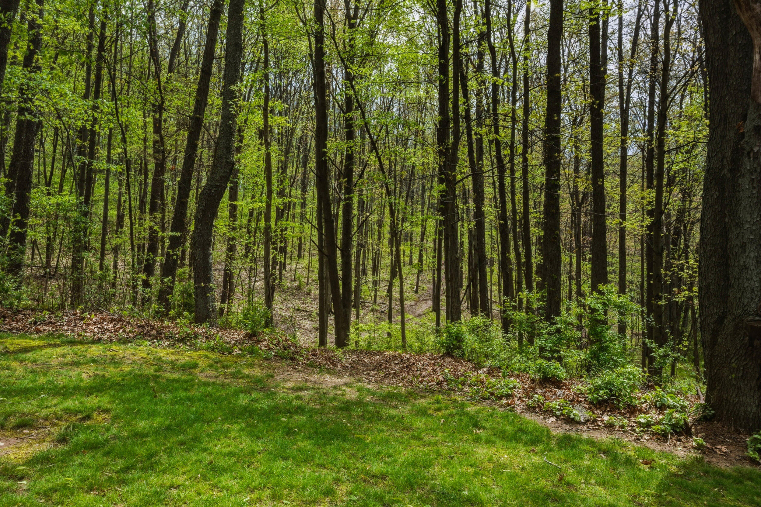 7051 Bowerman Road Horton, MI 49246 - Photo 79 of 89 63__dsc6972