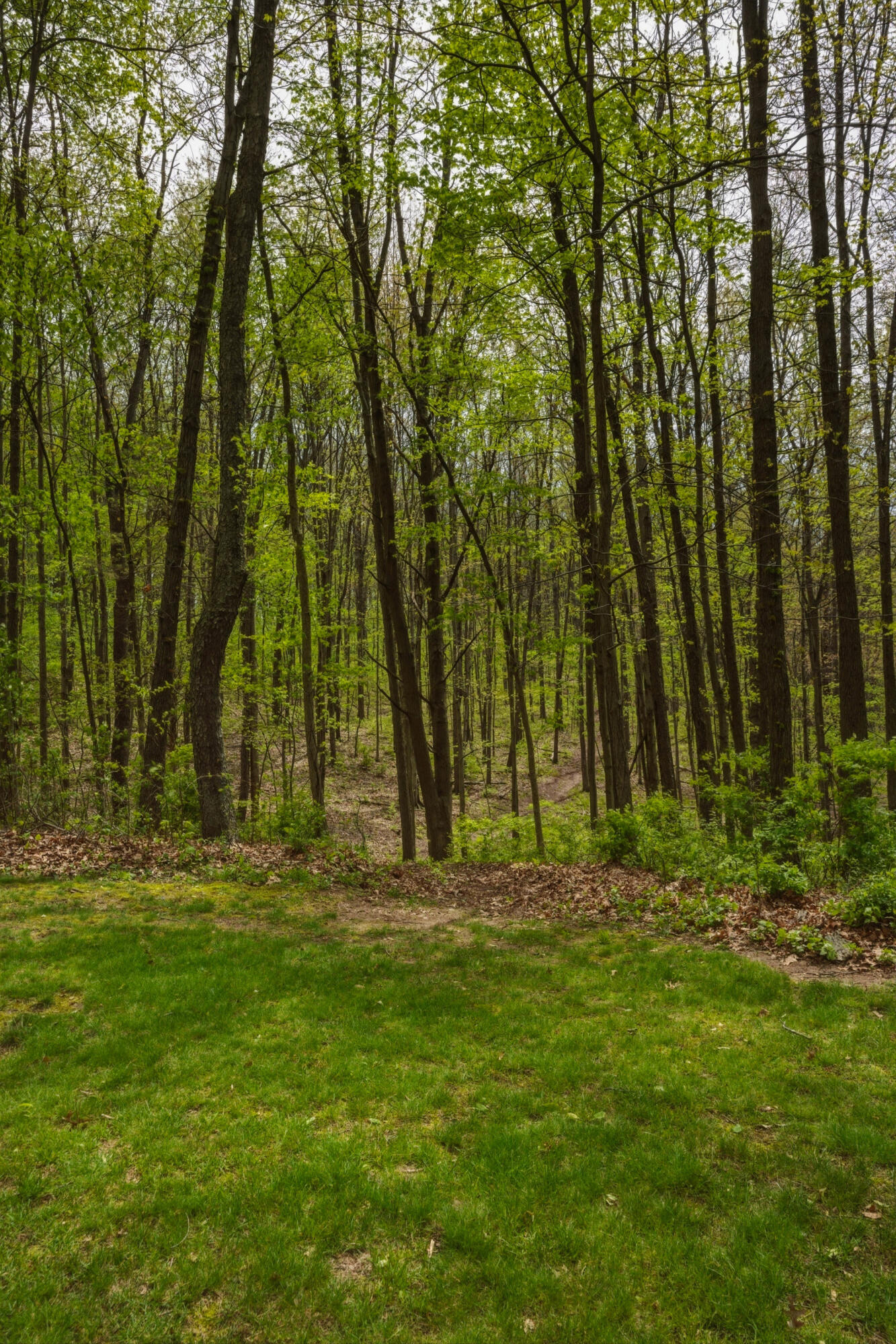 7051 Bowerman Road Horton, MI 49246 - Photo 80 of 89 73__dsc6975