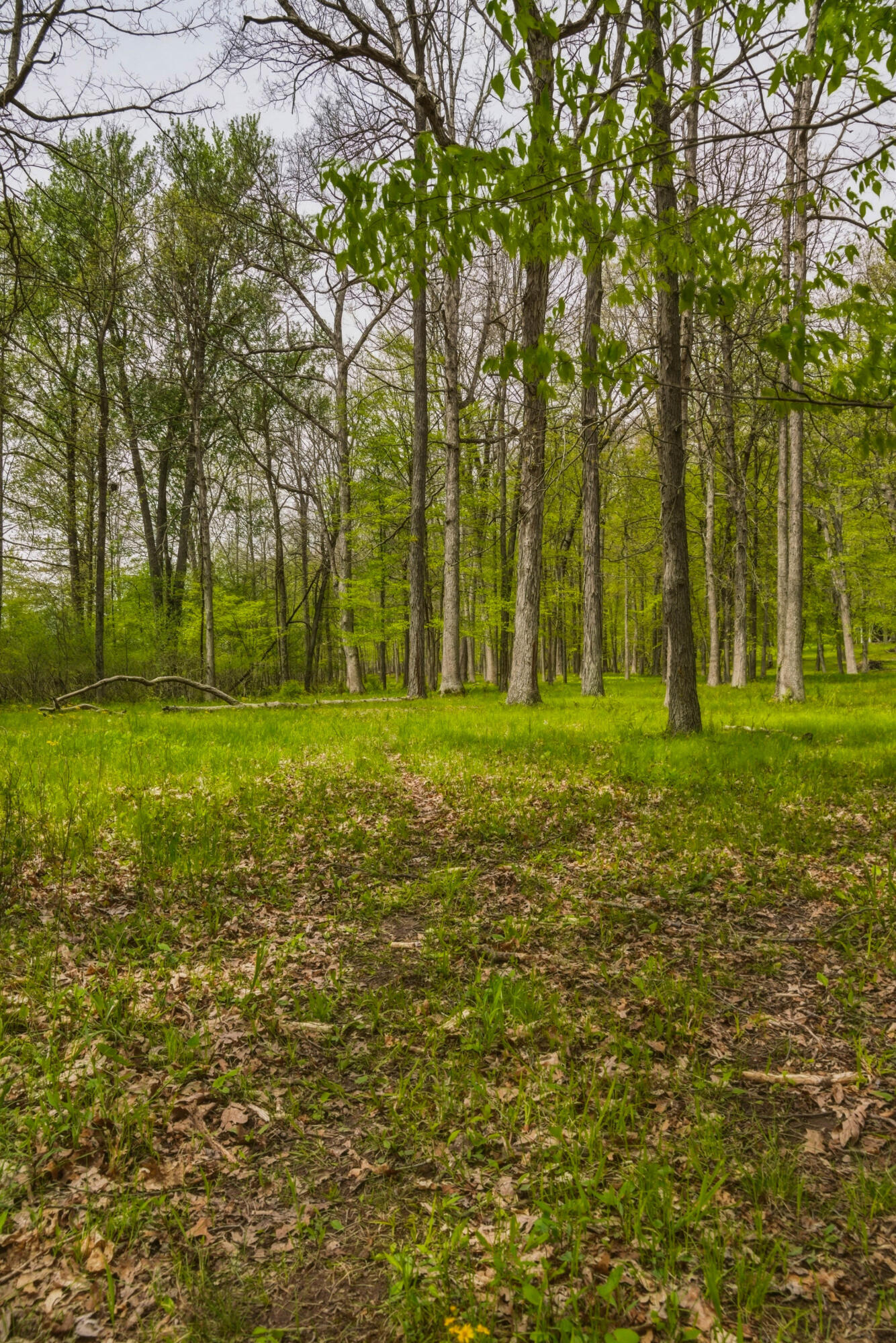 7051 Bowerman Road Horton, MI 49246 - Photo 81 of 89 79__dsc7125