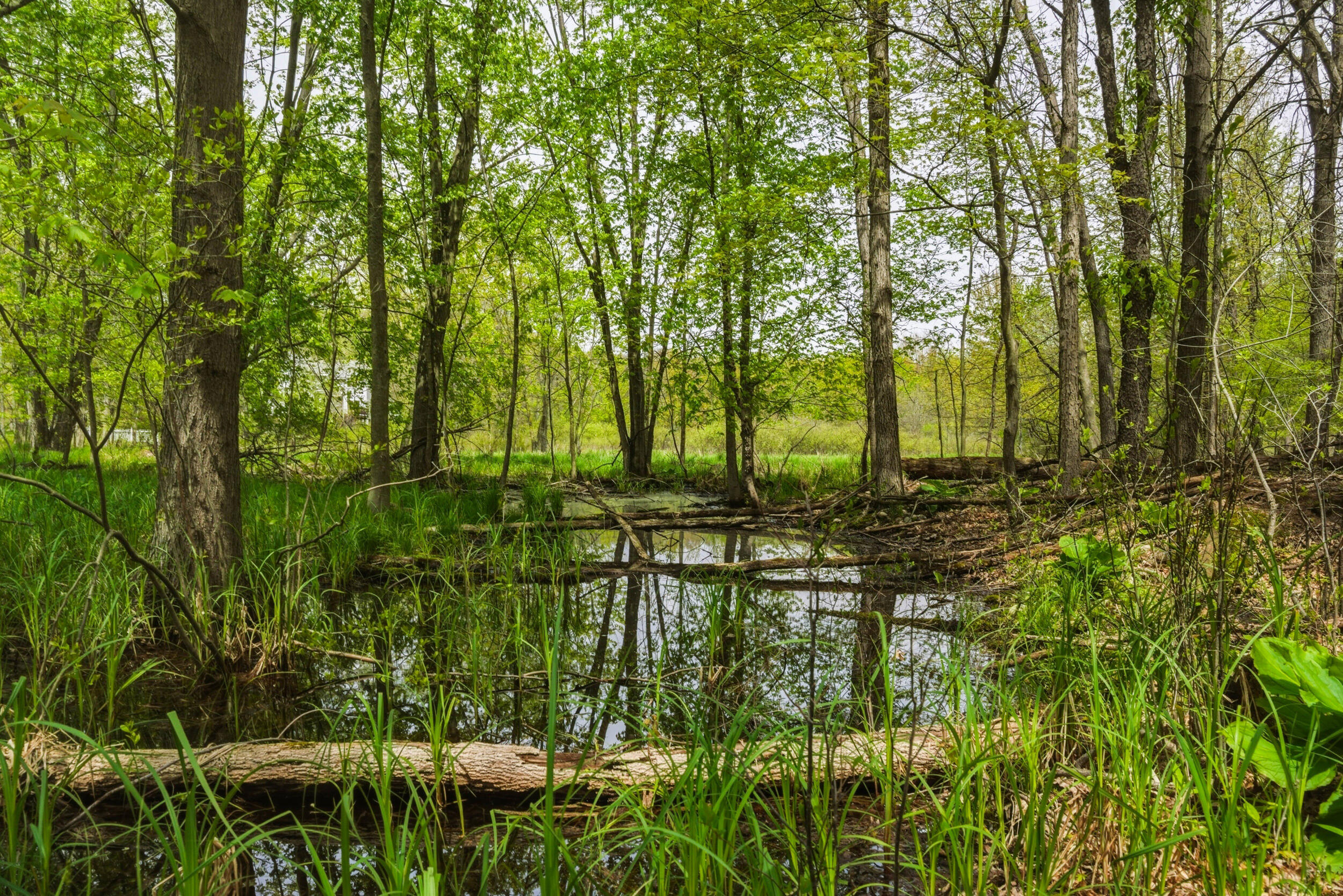 7051 Bowerman Road Horton, MI 49246 - Photo 83 of 89 70__dsc7104