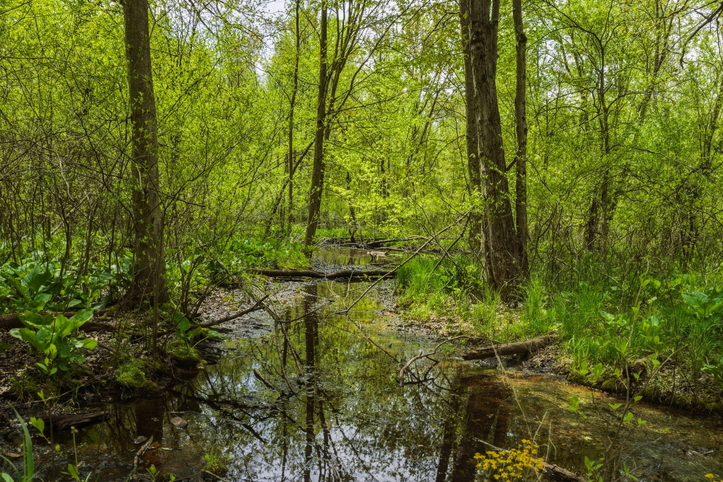 7051 Bowerman Road Horton, MI 49246 - Photo 84 of 89 71__dsc7113