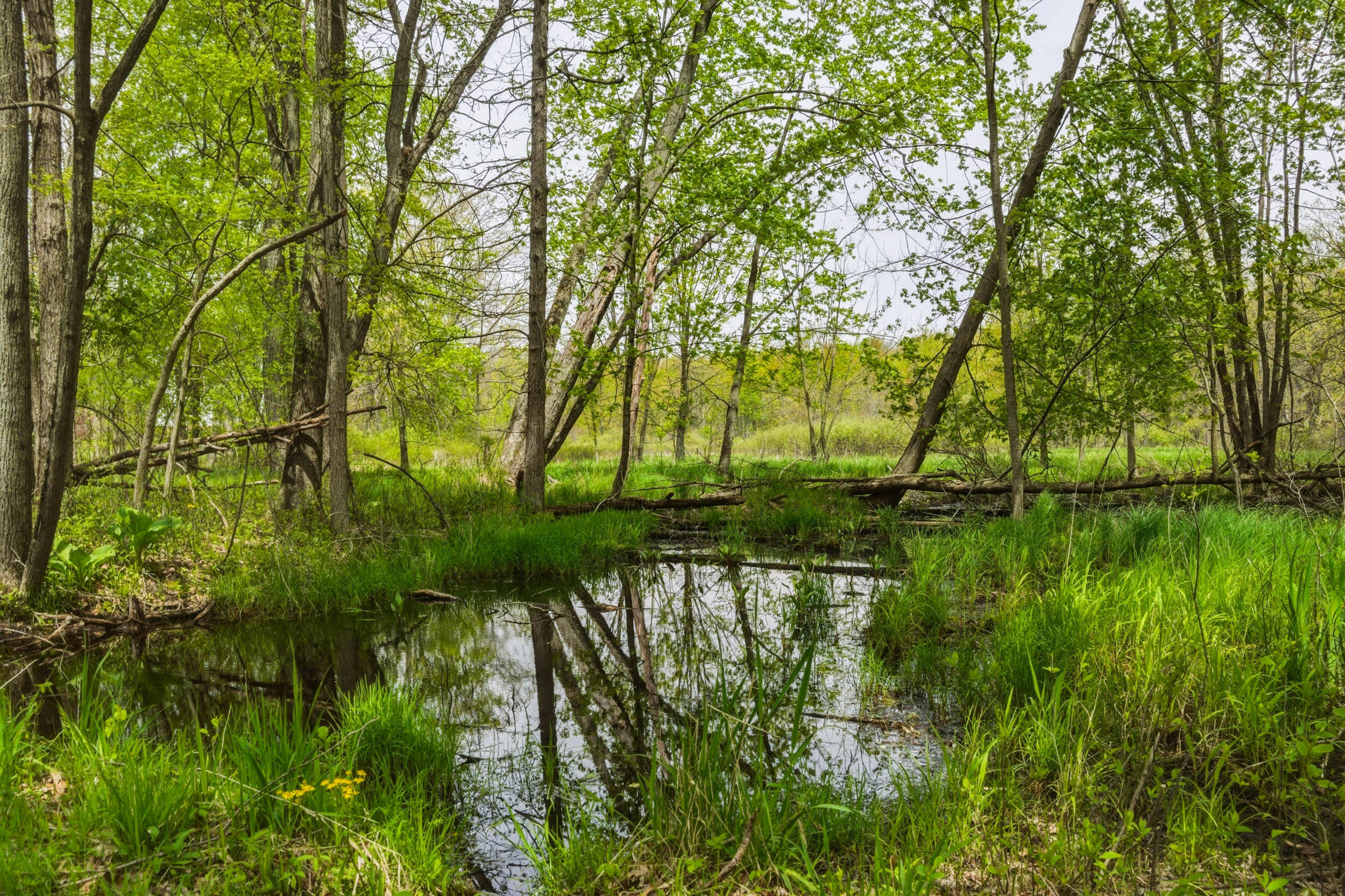 7051 Bowerman Road Horton, MI 49246 - Photo 85 of 89 72__dsc7116