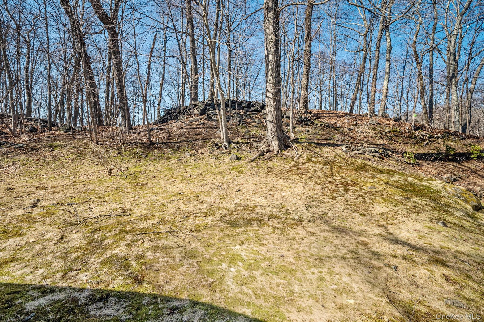 15 Cross Road Cortlandt Manor, NY 10567 - Photo 40 of 50 a view of a backyard of the house