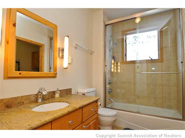 89 South Ruby Road Silverthorne, CO 80498 - Photo 16 of 25 Bathroom.