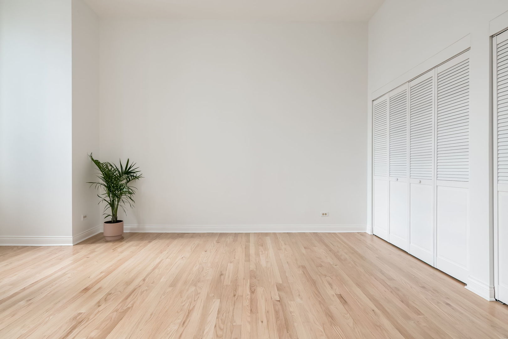 910 South Michigan Avenue, Unit 1908 Chicago, IL 60605 - Photo 13 of 29 a view of room with wooden floor and potted plant