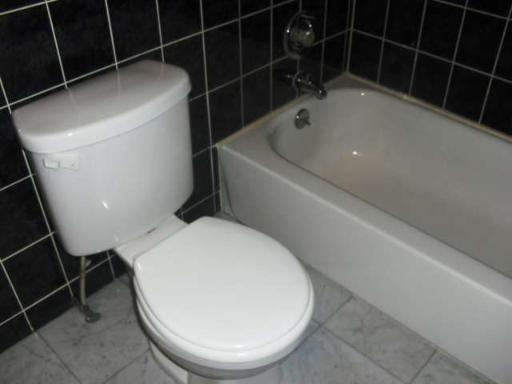10369 Dearlove Road, Unit 2F Glenview, IL 60025 - Photo 7 of 9