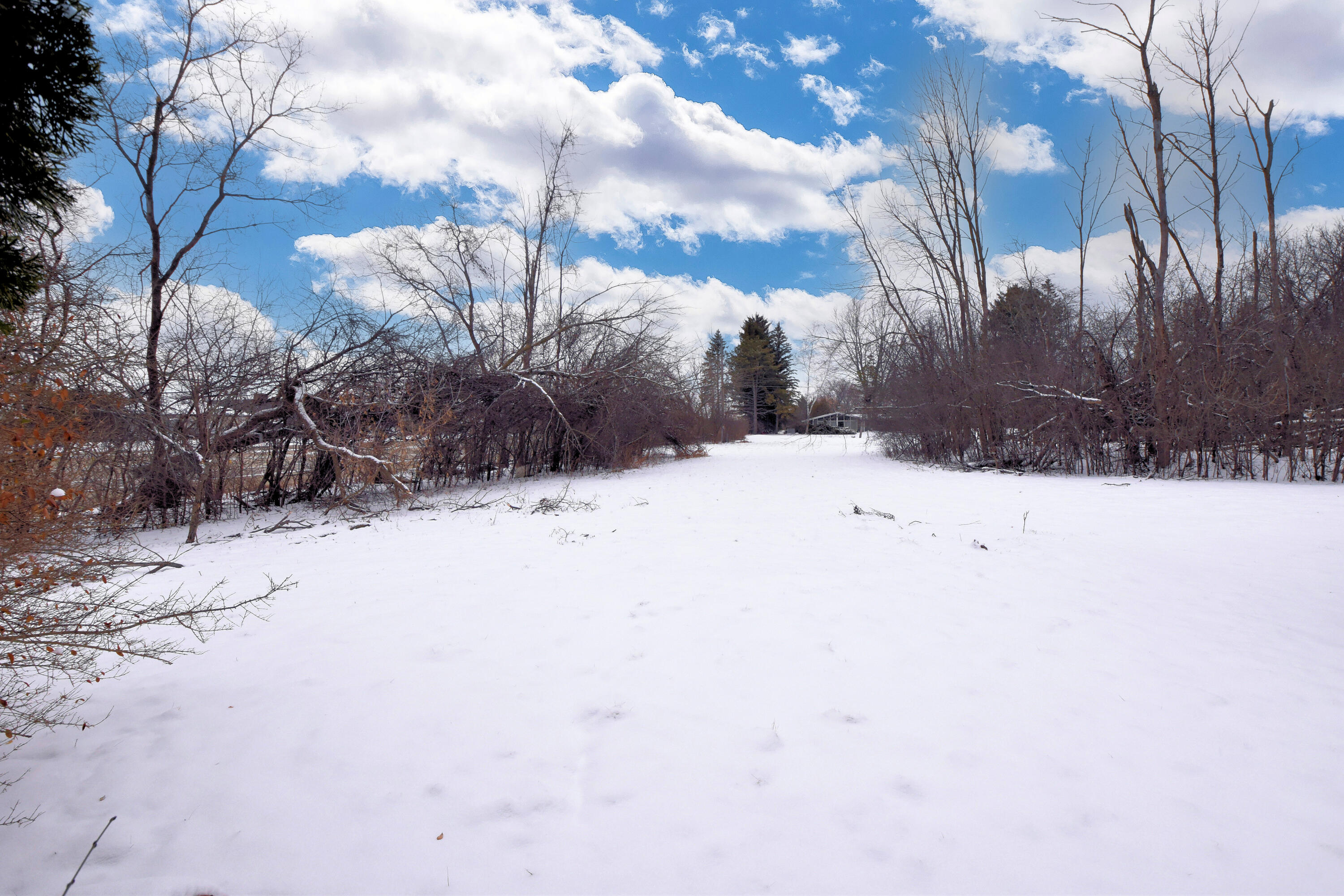 1108 West Zedler Lane Mequon, WI 53092 - Photo 3 of 34 There is a fire pit and shed too!