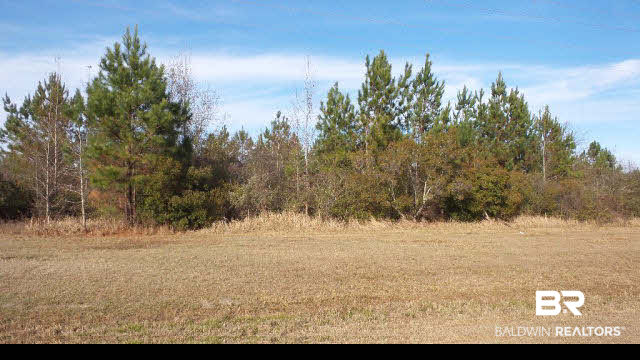 12 Highway 182 Jay, FL 32565 - Photo 16 of 26