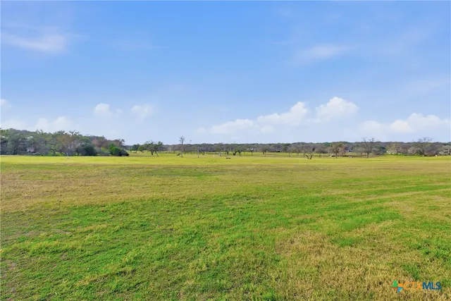 a room with painting on the wall and a potted plant