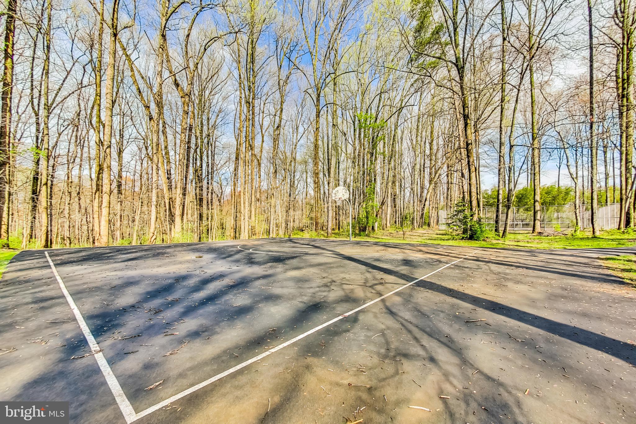 11718 Whittier Road Bowie, MD 20721 - Photo 65 of 70 Community - Enterprise Estates Basketball