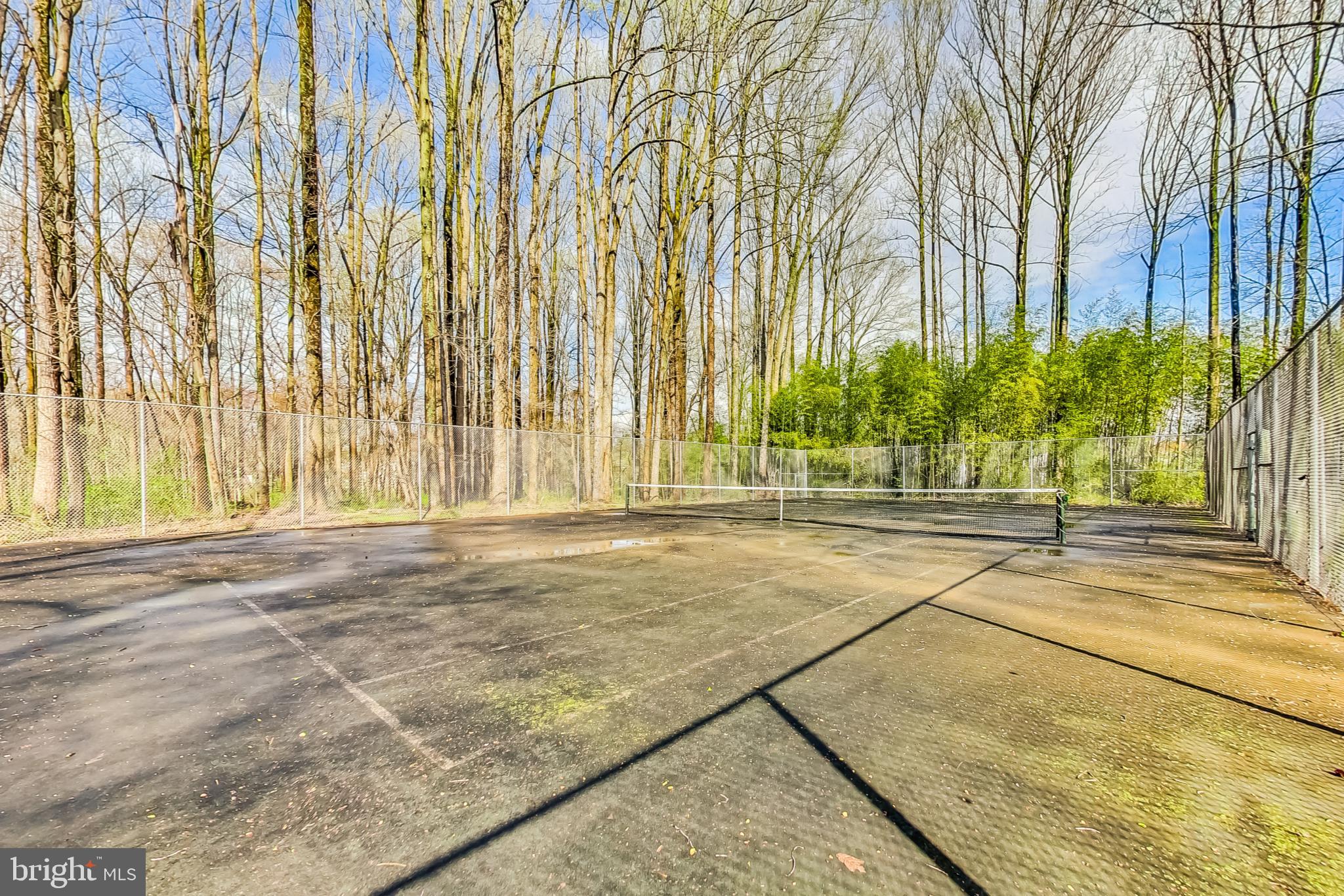 11718 Whittier Road Bowie, MD 20721 - Photo 67 of 70 Community - Enterprise Estates Tennis