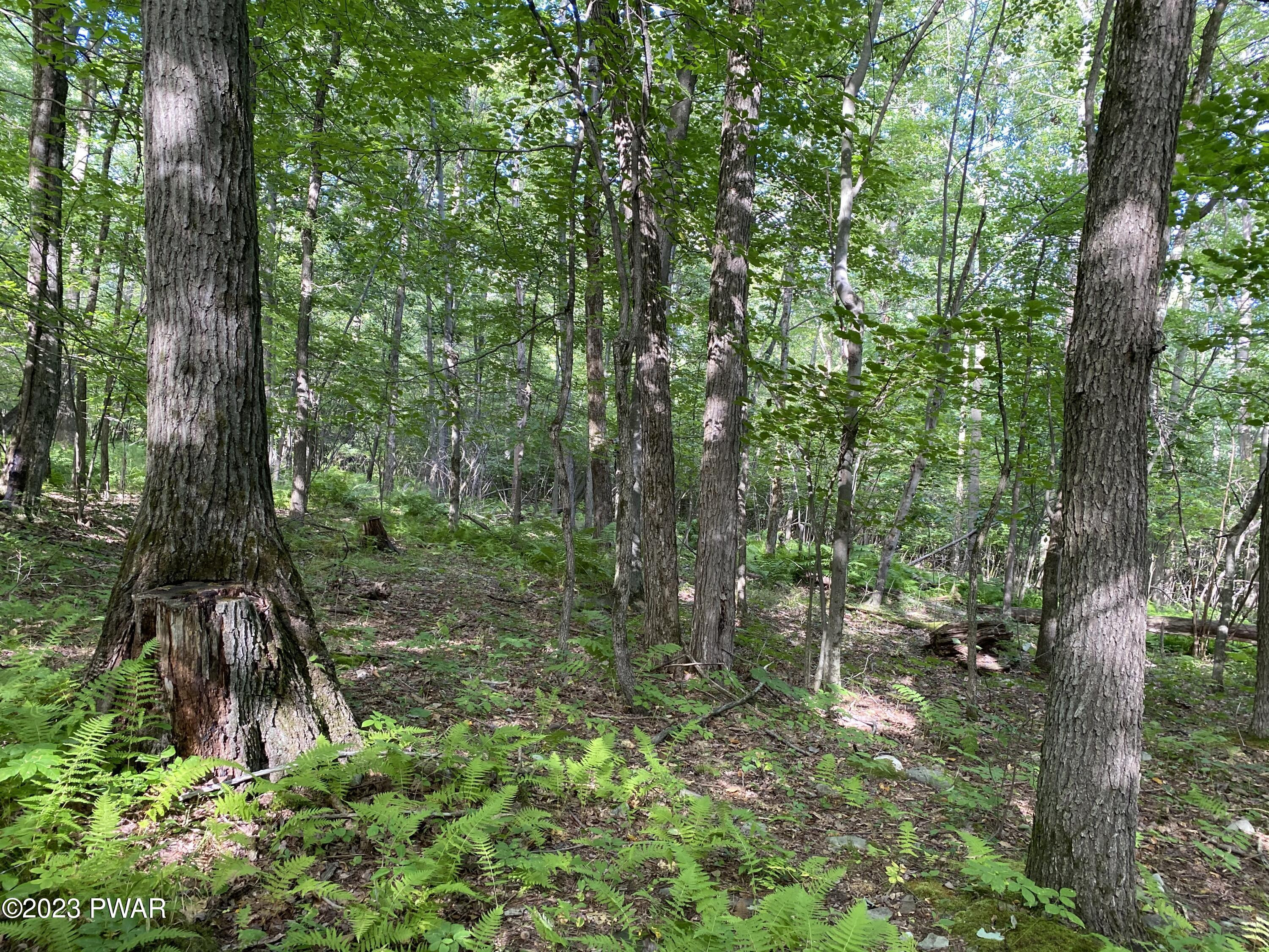 35048 Archbald Mountain Road Lake Ariel, PA 18436 - Photo 5 of 7