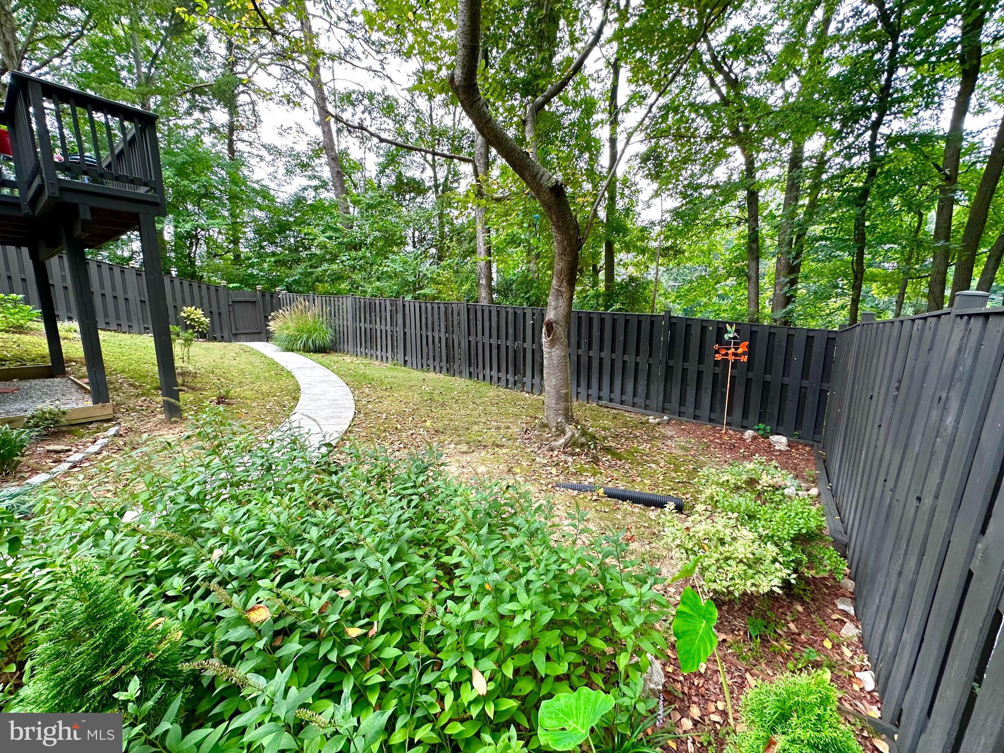 8301 Windfall Road Springfield, VA 22153 - Photo 20 of 27 a view of a backyard with a tree