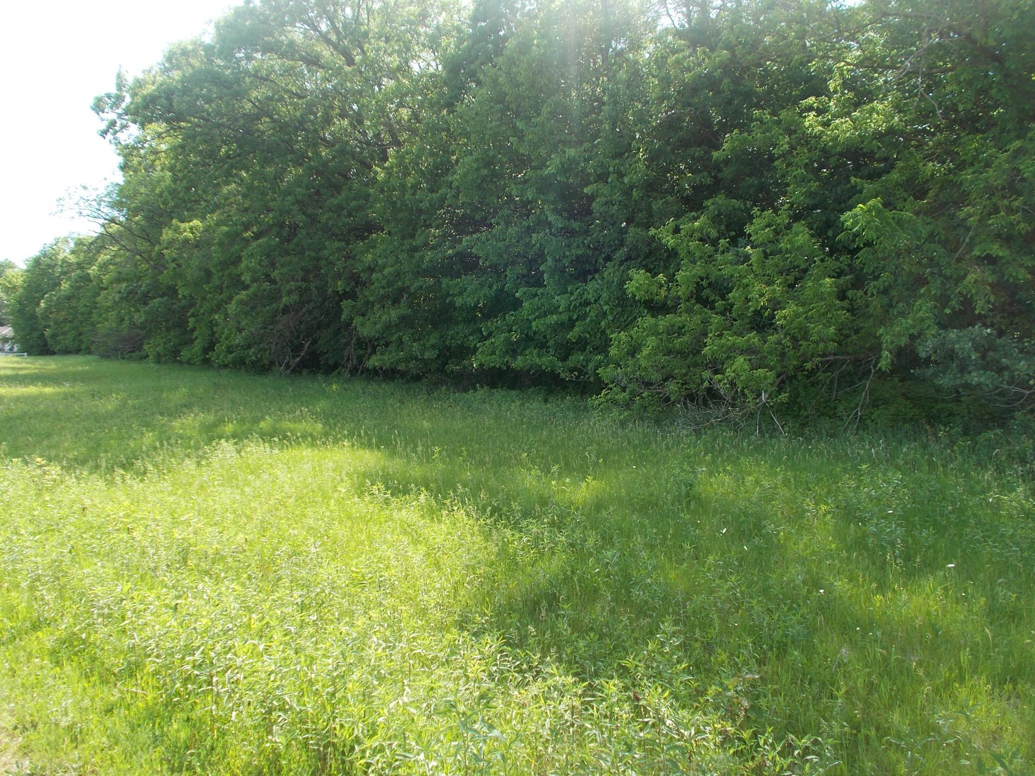 87 Southwest Backus Mn 56435 Southwest Backus, MN 56435 - Photo 1 of 1 Gallery Image 1