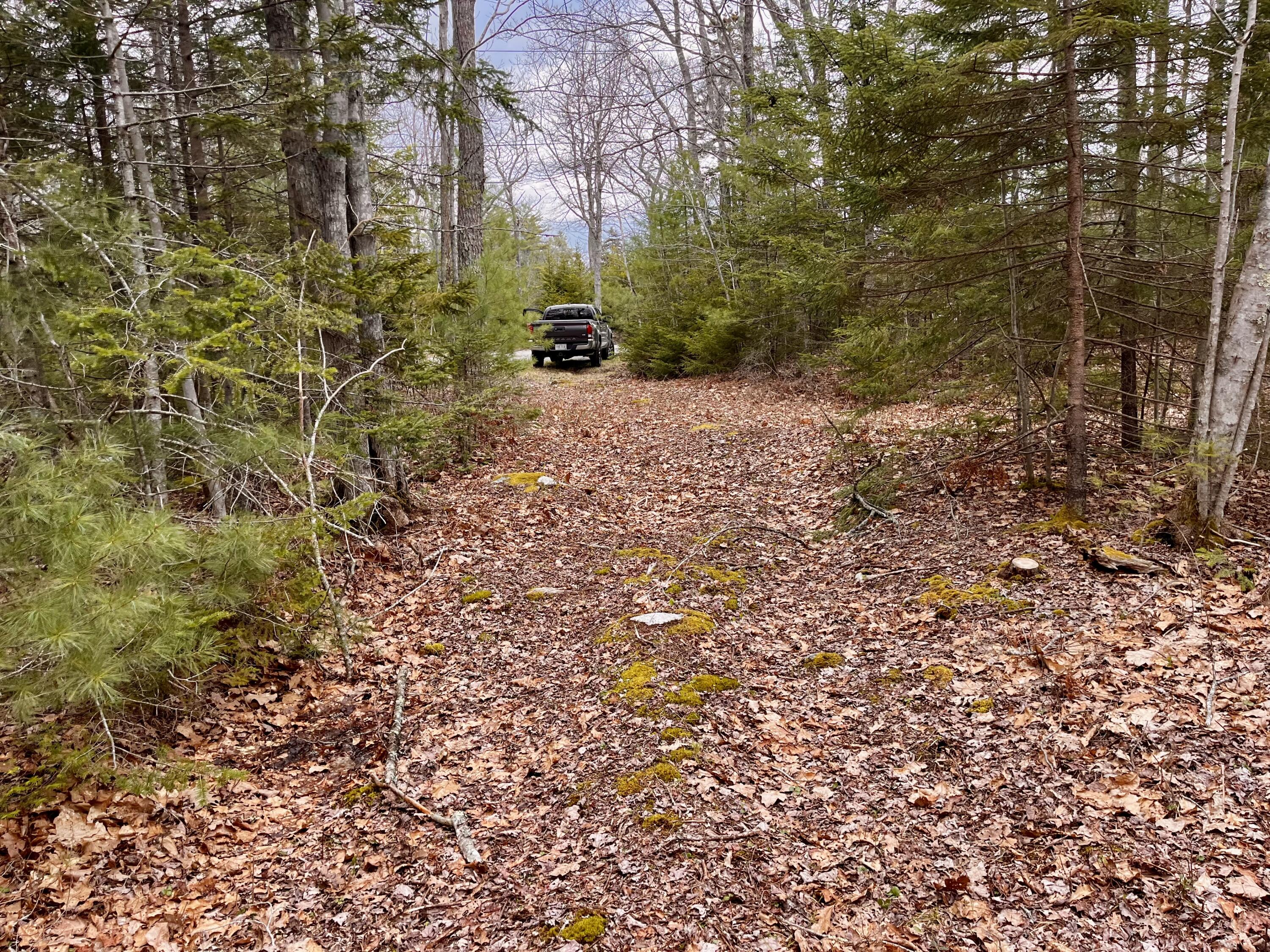 92 L Russel Road Chamberlain, ME 04541 - Photo 4 of 21