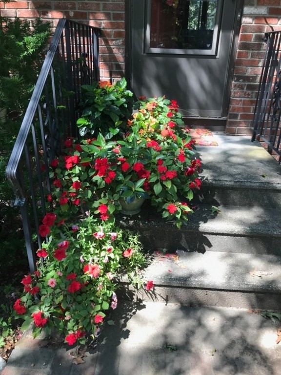 6 Oakland Road Reading, MA 01867 - Photo 28 of 34 Gallery Image 28