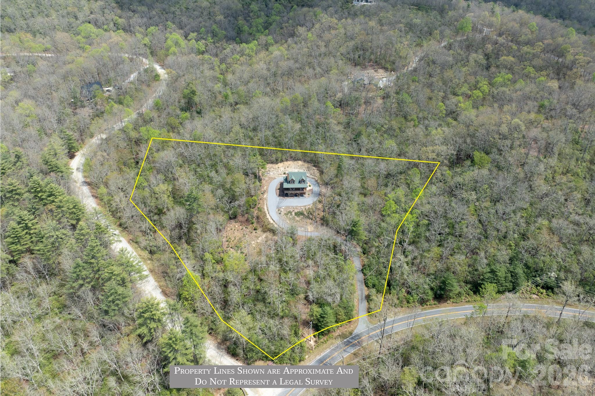 3171 East Fork Road Brevard, NC 28712 - Photo 8 of 48
