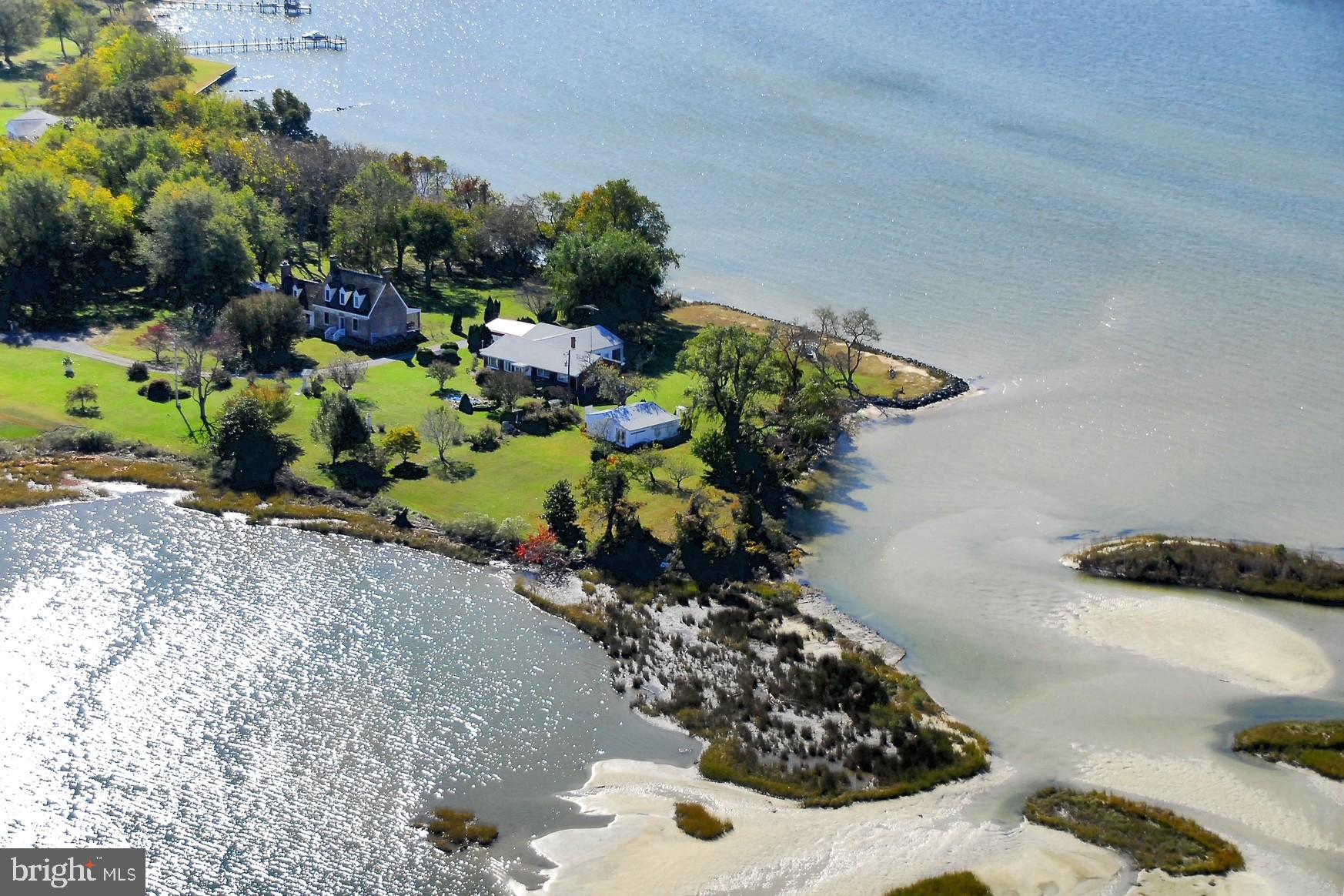 a bunch of flowers are sitting in the garden