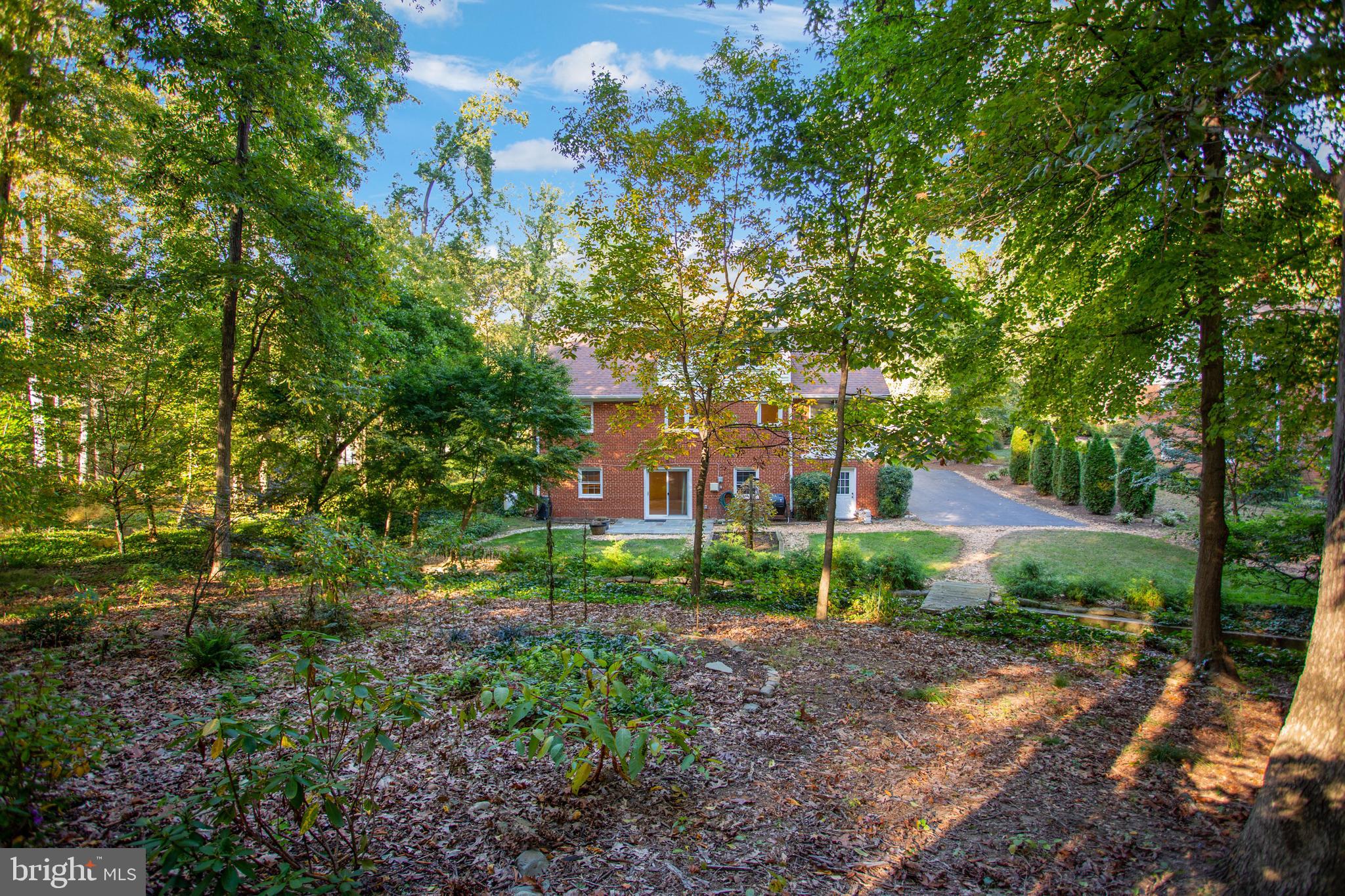 4029 Laurel Road Alexandria, VA 22309 - Photo 35 of 44 Gallery Image 35