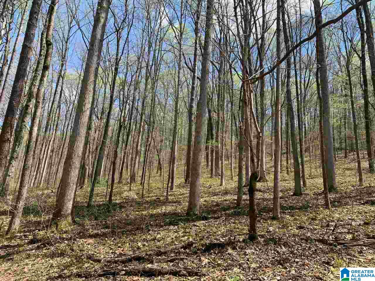 5925 Cahaba Valley Road, Unit 1 Birmingham, AL 35242 - Photo 14 of 21