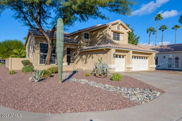front view of a house with a large tree