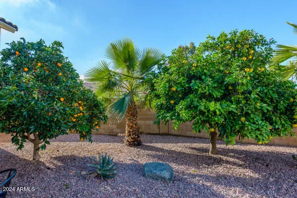 $5,500 | 1568 East San Remo Avenue, Gilbert, AZ 85234