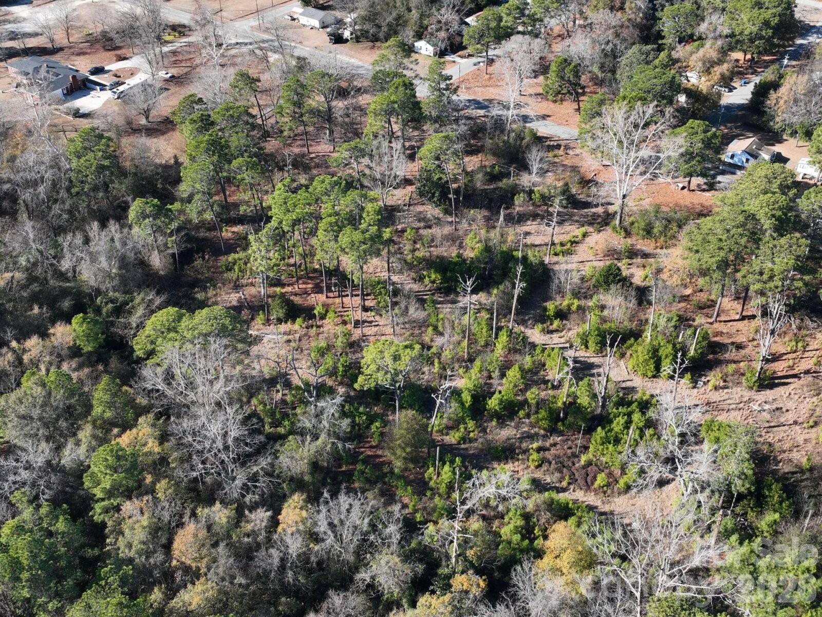 0 Peejay Lane Fayetteville, NC 28303 - Photo 3 of 7 a view of a forest with a tree