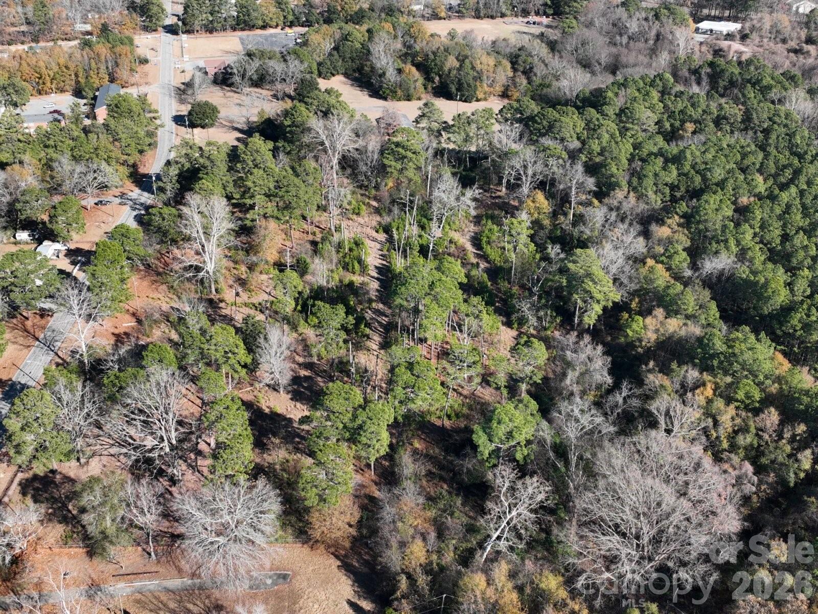 0 Peejay Lane Fayetteville, NC 28303 - Photo 4 of 7 a view of a forest with a tree