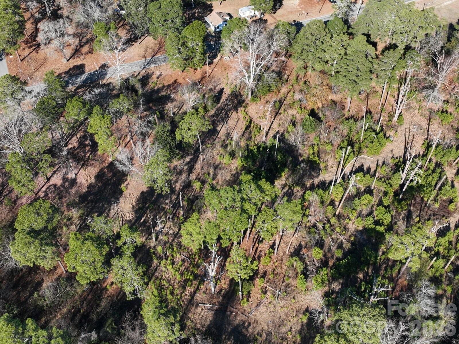 0 Peejay Lane Fayetteville, NC 28303 - Photo 5 of 7 a view of a forest with a tree
