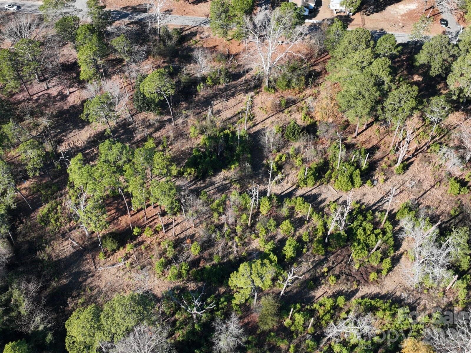 0 Peejay Lane Fayetteville, NC 28303 - Photo 6 of 7 a view of a tree