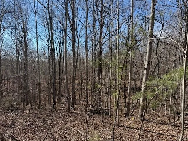 $69,000 | 3 South Pittsburg Mountain Road, Unit TRACT 3, South Pittsburg, TN 37380