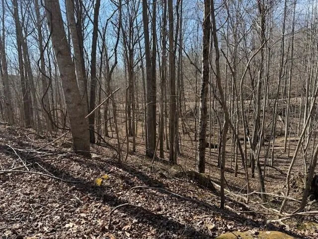 $69,000 | 3 South Pittsburg Mountain Road, Unit TRACT 3, South Pittsburg, TN 37380