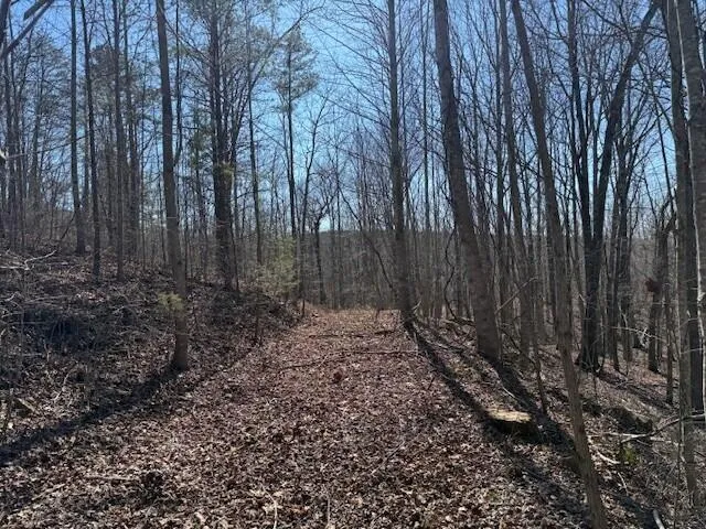 $69,000 | 3 South Pittsburg Mountain Road, Unit TRACT 3, South Pittsburg, TN 37380