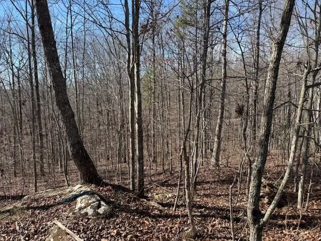 $69,000 | 3 South Pittsburg Mountain Road, Unit TRACT 3, South Pittsburg, TN 37380