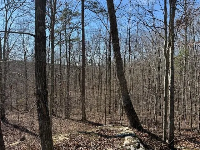 $69,000 | 3 South Pittsburg Mountain Road, Unit TRACT 3, South Pittsburg, TN 37380
