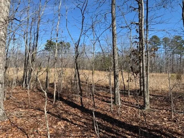 $69,000 | 3 South Pittsburg Mountain Road, Unit TRACT 3, South Pittsburg, TN 37380