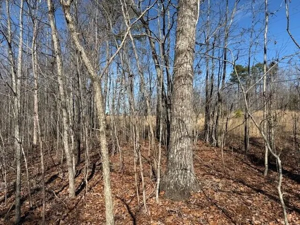 $69,000 | 3 South Pittsburg Mountain Road, Unit TRACT 3, South Pittsburg, TN 37380