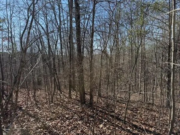 $69,000 | 3 South Pittsburg Mountain Road, Unit TRACT 3, South Pittsburg, TN 37380