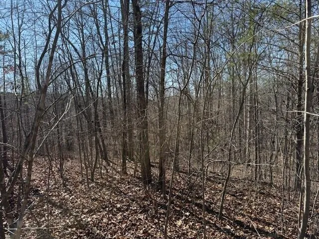 $69,000 | 3 South Pittsburg Mountain Road, Unit TRACT 3, South Pittsburg, TN 37380