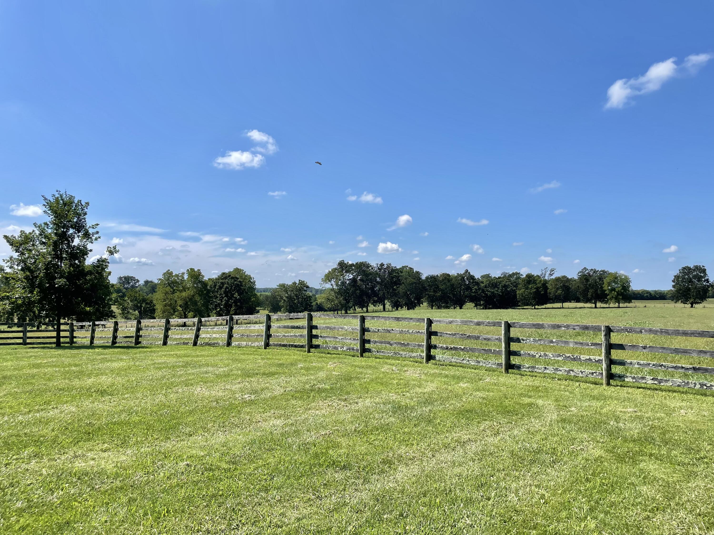 1407 Ruddles Mill Road Paris, KY 40361 - Photo 44 of 56 E64071B4-64A8-41B7-9E17-2AA7FB3863B1