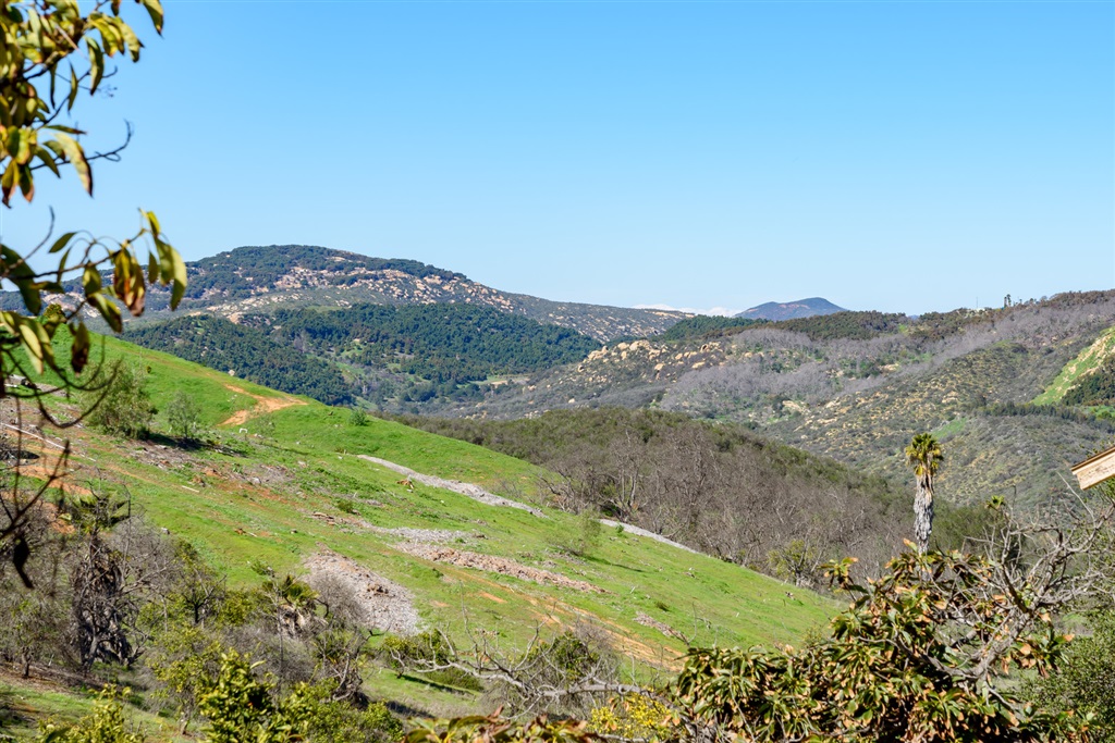 10398 Lilac Ridge Road Escondido, CA 92026 - Photo 24 of 25